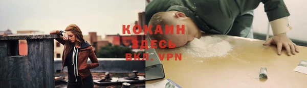 тгк Армянск