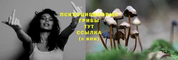 гашиш Арсеньев