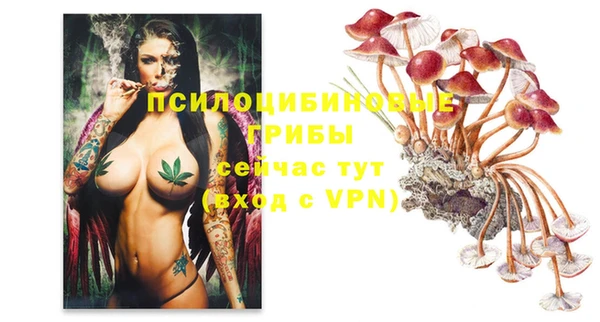 тгк Армянск