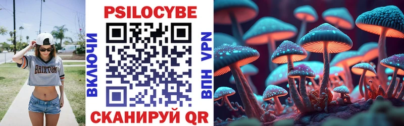 Купить где  Дорогобуж  Псилоцибиновые грибы мицелий 